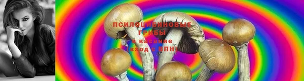 шишки Балабаново