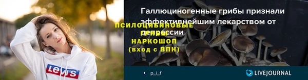 меф Арсеньев