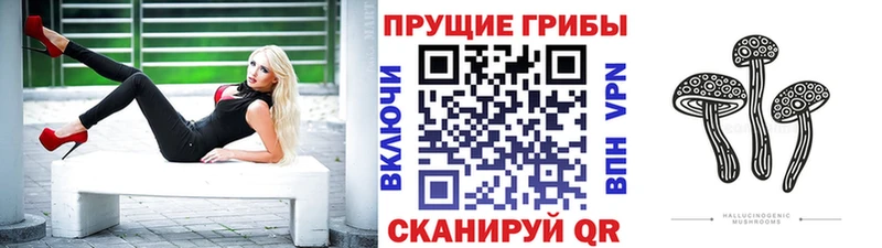 Псилоцибиновые грибы мицелий  закладка  Коломна 